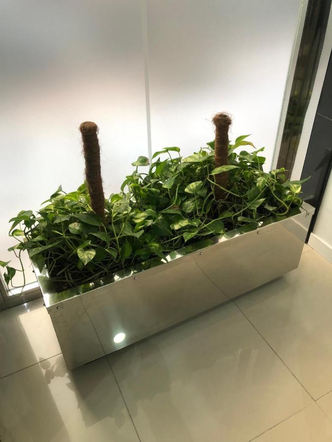 La Victoria Home 马拉加 外观 照片